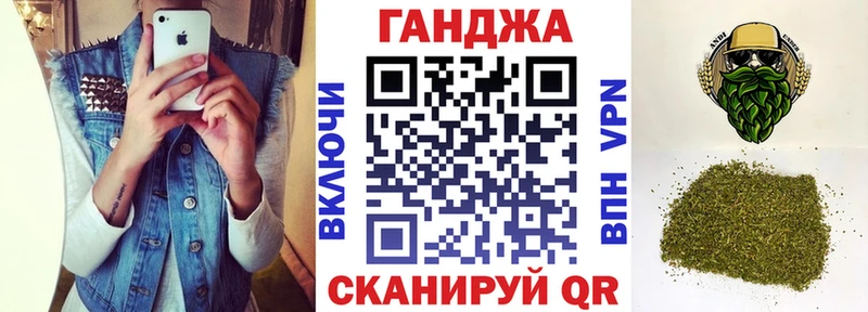 Конопля сатива  Гудермес 